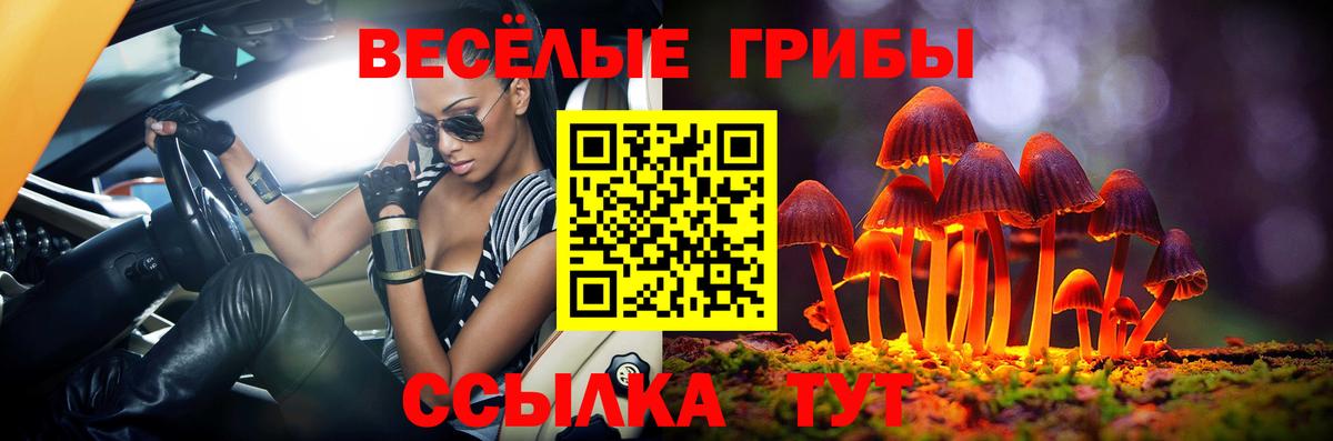 Галлюциногенные грибы Magic Shrooms  Вход с VPN  Чистополь  Галлюциногенные грибы GOLDEN TEACHER 